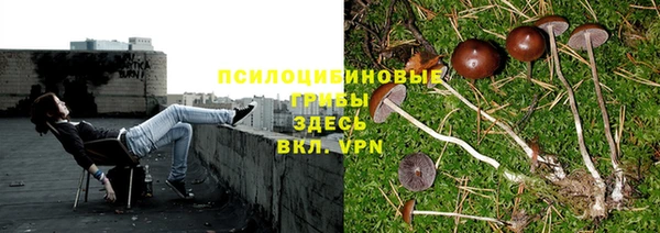 ешки Арсеньев