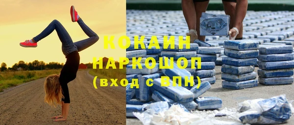 ешки Арсеньев