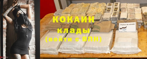 ешки Арсеньев