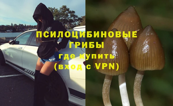 мескалин Аркадак